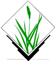 grass_logo