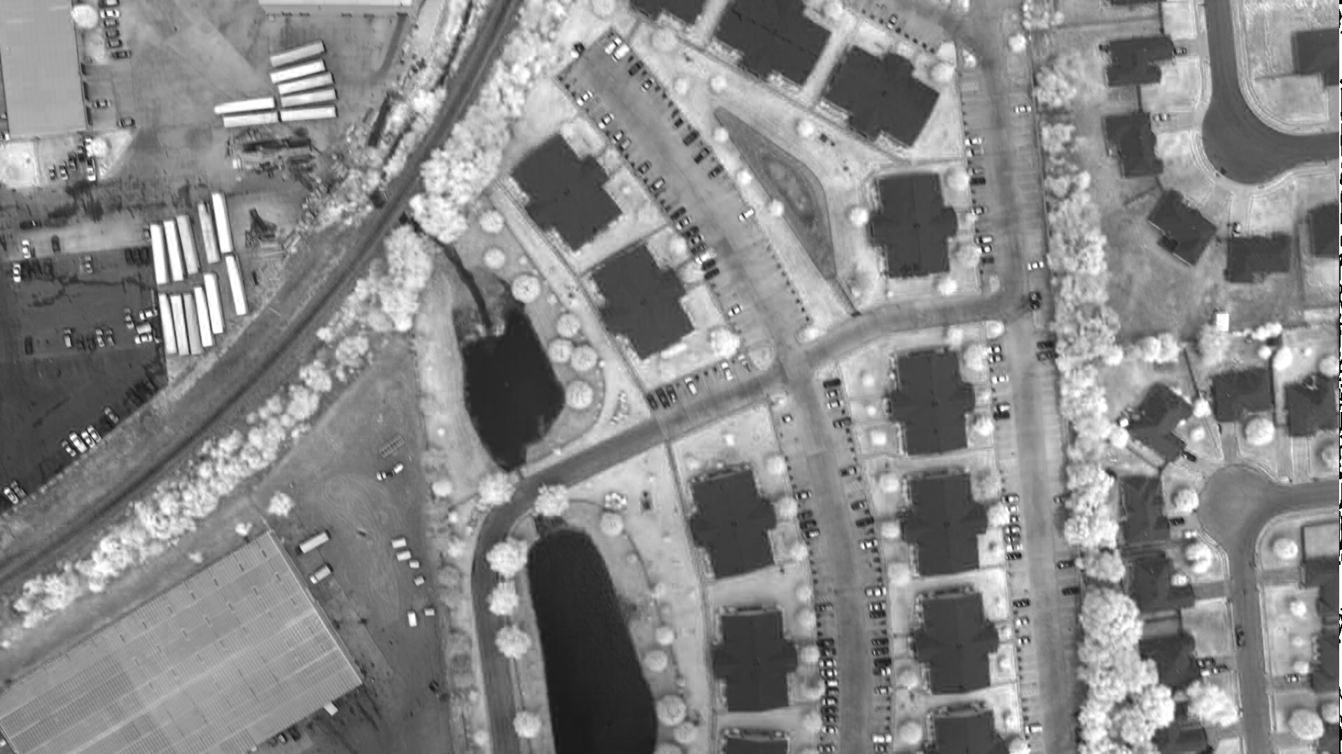 ../../_images/rasdaman_ndvi32.png